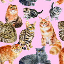 Load image into Gallery viewer, Cat Lover Leggings
